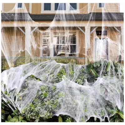 Stretch spider webs with fake spiders
